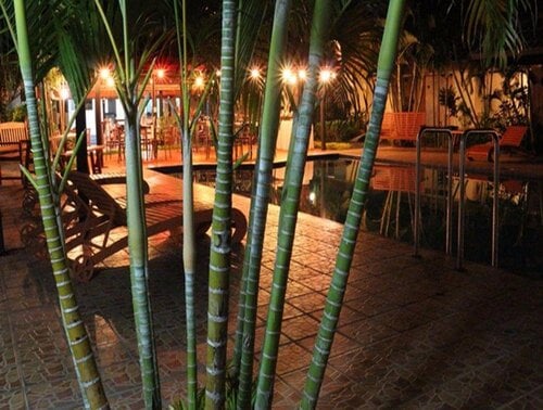 Wailoaloa Beach Resort