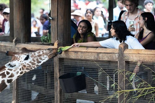 Holiday Inn Dallas - Garland