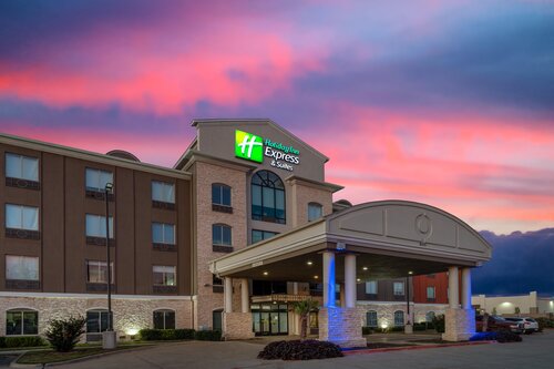 Holiday Inn Express Dallas East- Fairpark