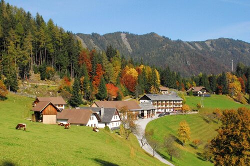 Lausegger Berggasthof