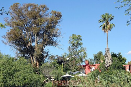 The Gumtree Guesthouse