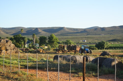 De Denne Country Guest House