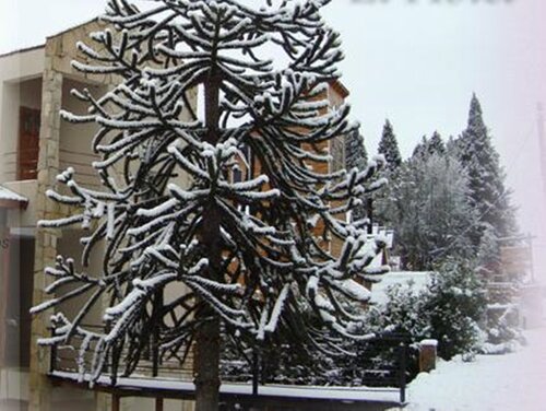 Altuen Hotel Suites & Spa