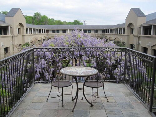 Vineyard Court Designer Suites