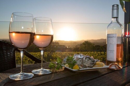 Takatu Lodge & Vineyard