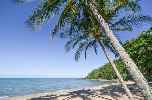 Beachfront Apartments on Trinity Beach