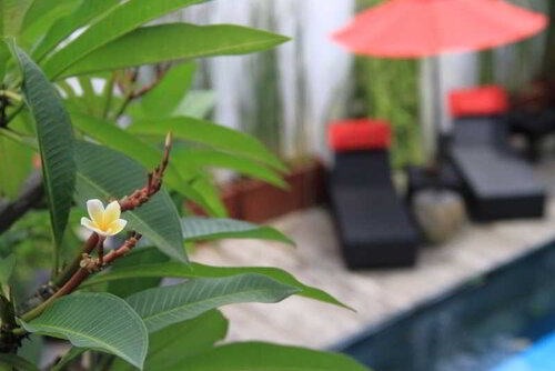 Villa KamarKamar Bali