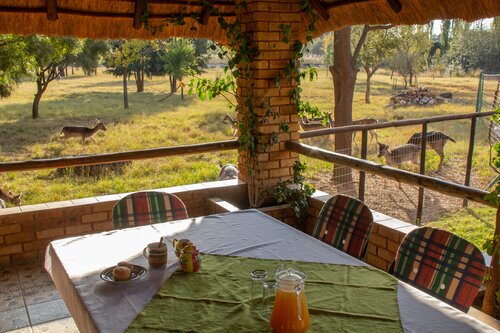 Airport & Bird Game Lodge