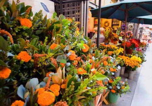 Courtyard Pleasanton