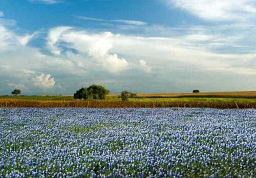Courtyard Houston Hobby Airport