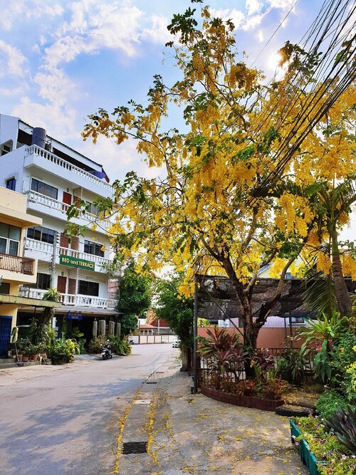 Bed and Terrace Guesthouse