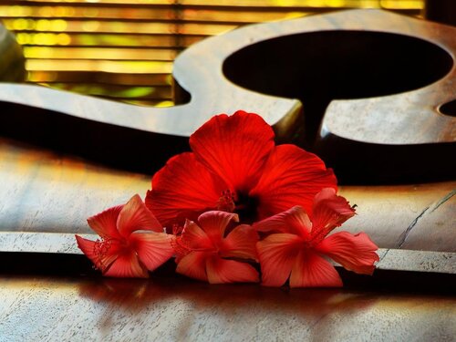 Discovery Candidasa Cottages And Villas