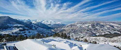 Grand Forest Metsovo