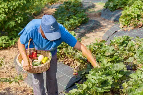 Douro Palace Hotel Resort SPA