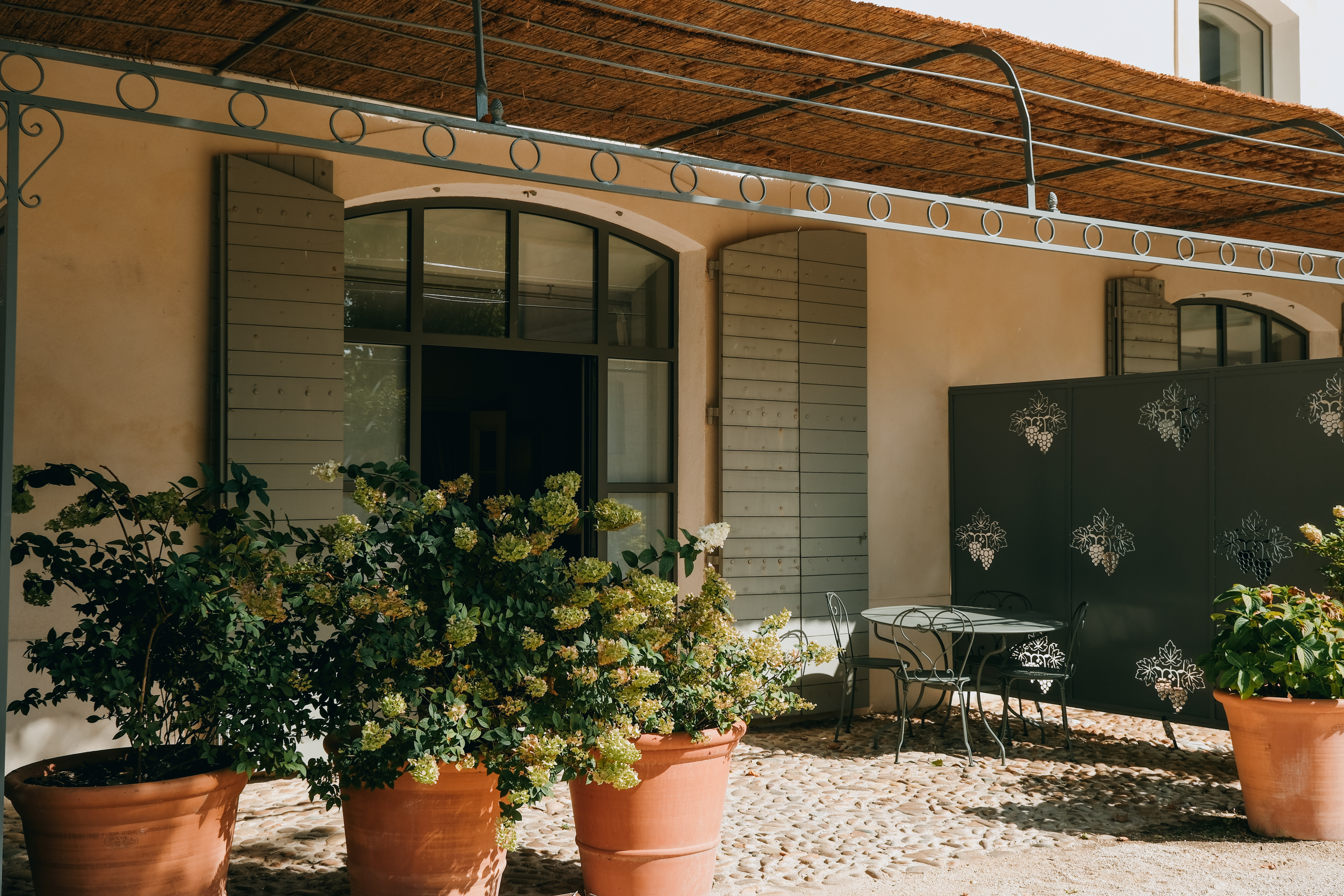 Junior Suite Executive