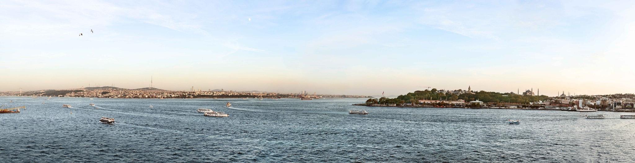 Suite King Bed One Bedroom 