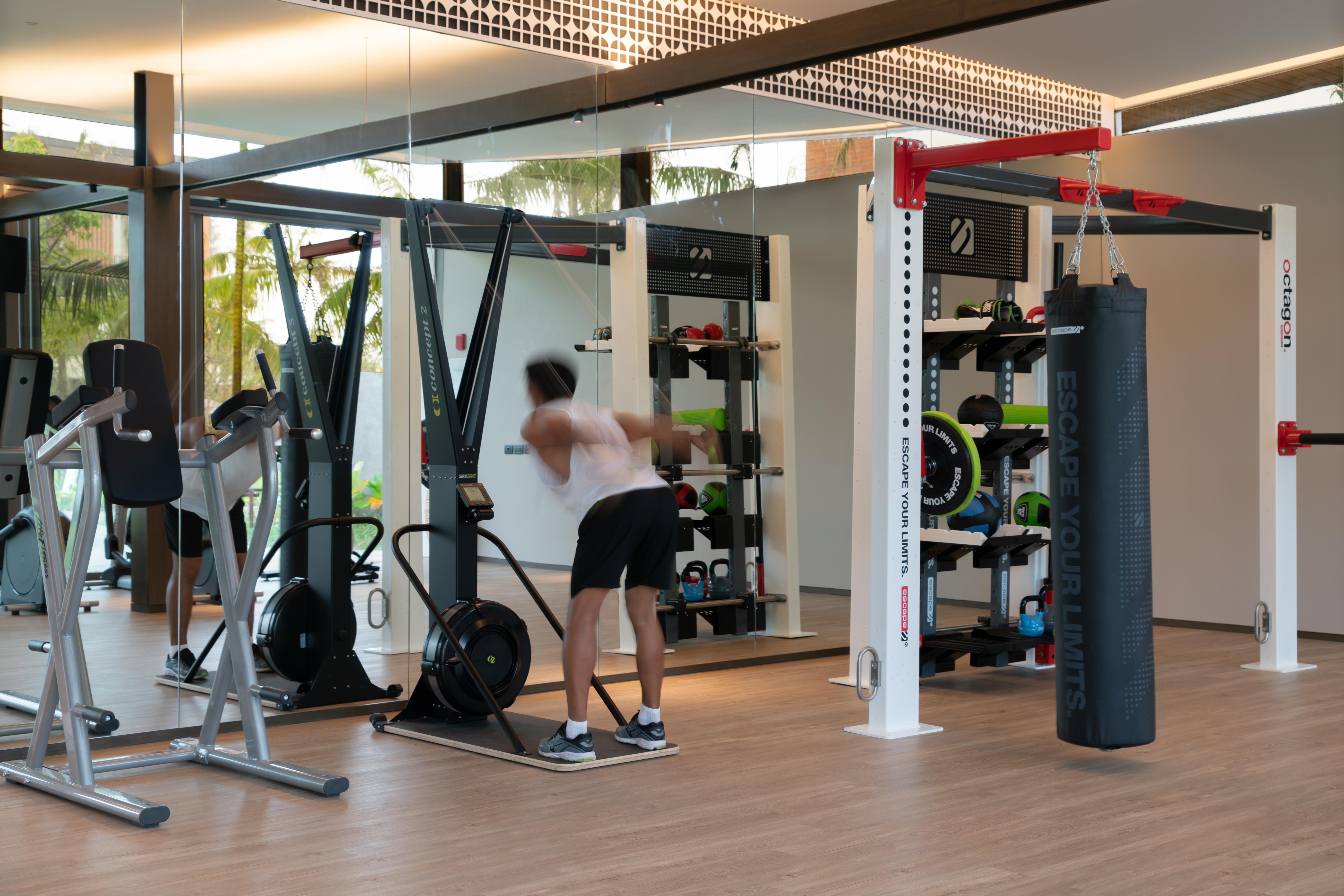 Sports and Entertainment