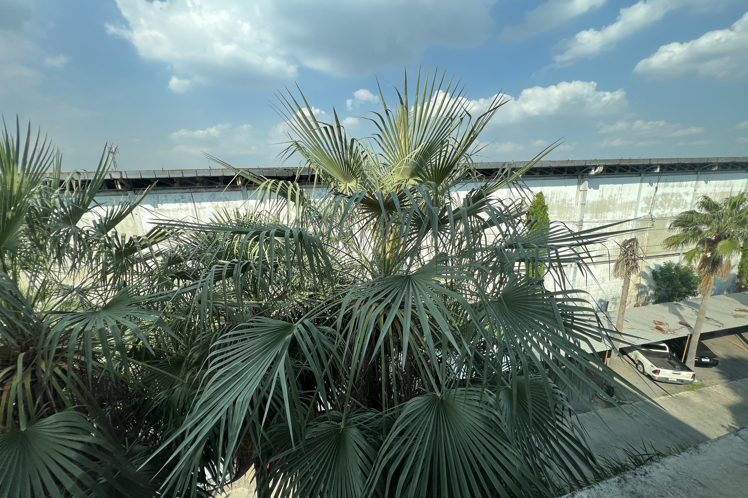 Double or Twin Deluxe