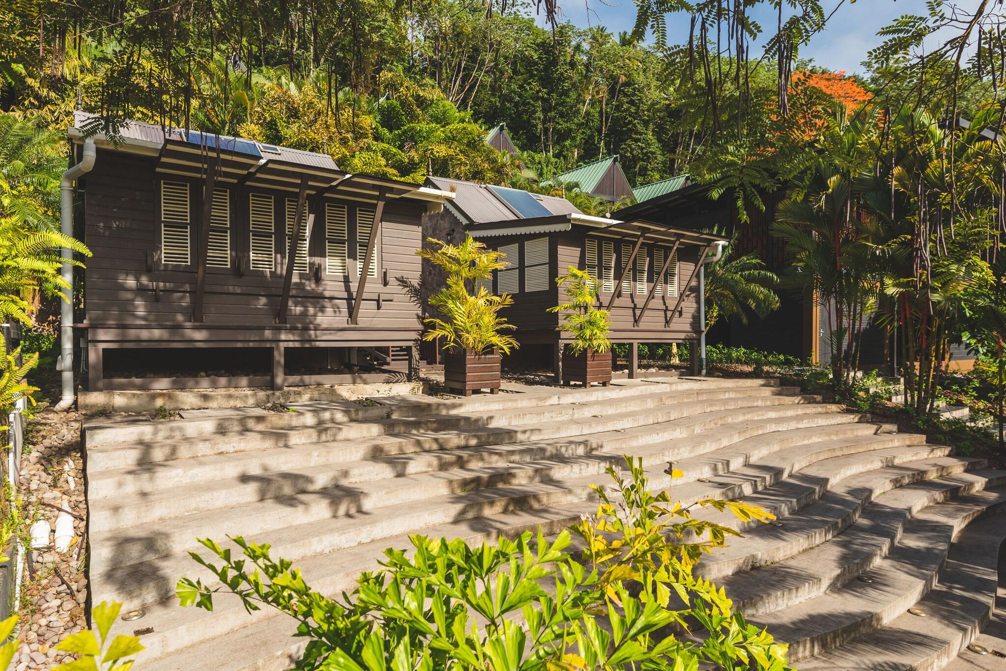 Double Deluxe Mountain View