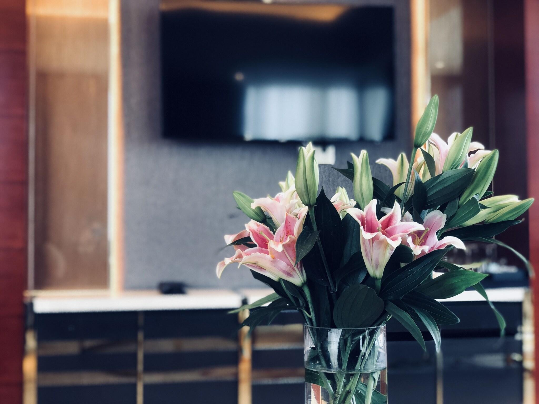 Family Room Two Double Beds