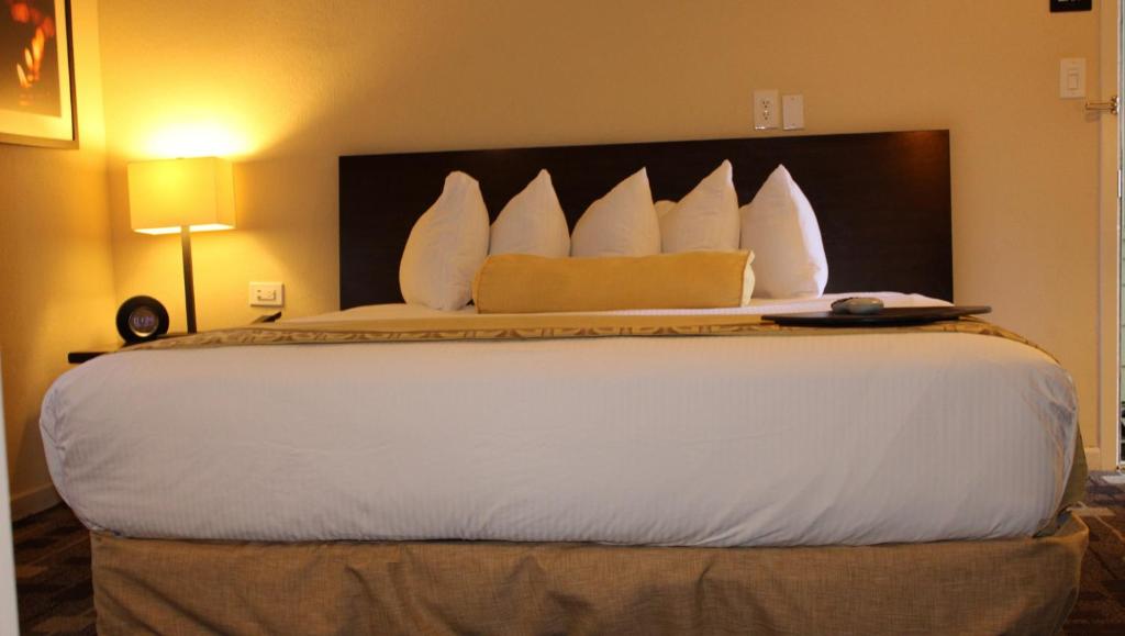 Double Accessible King Size Bed