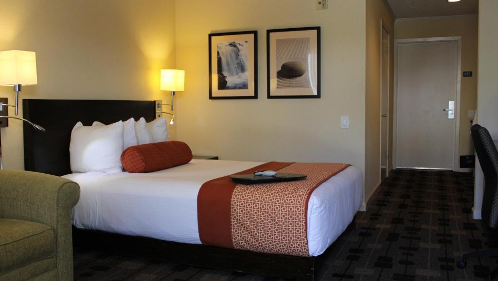 Double Accessible-queen Size Bed