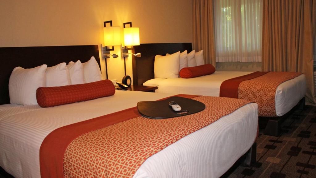 Suite Two Queen Beds