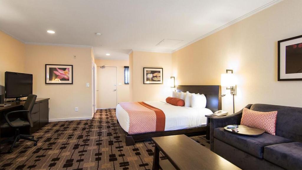 Double Deluxe King Bed