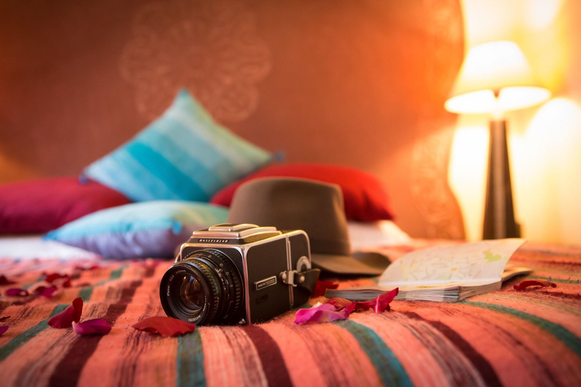 Suite Deluxe Queen Bed