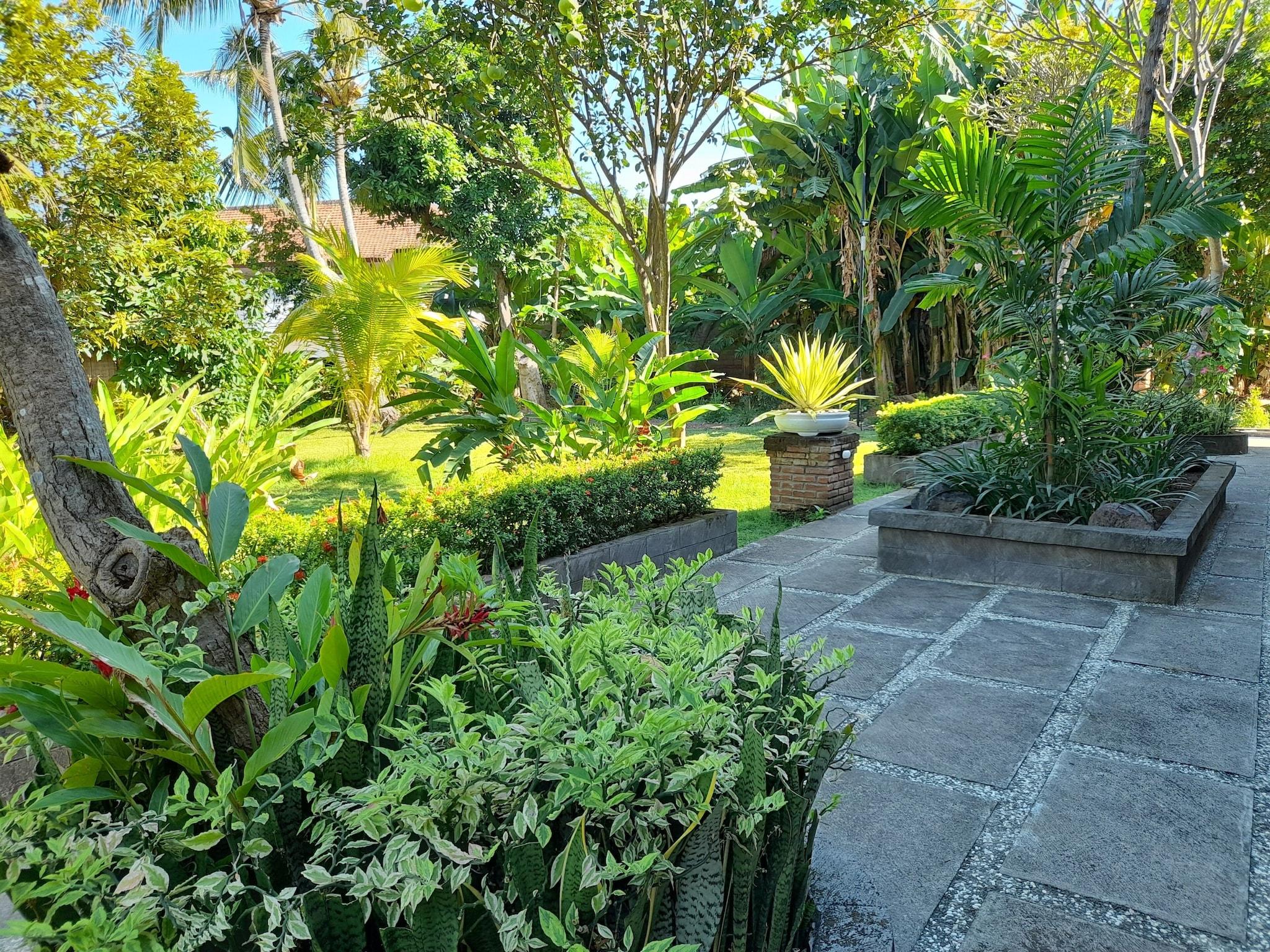 Double or Twin King Size Bed