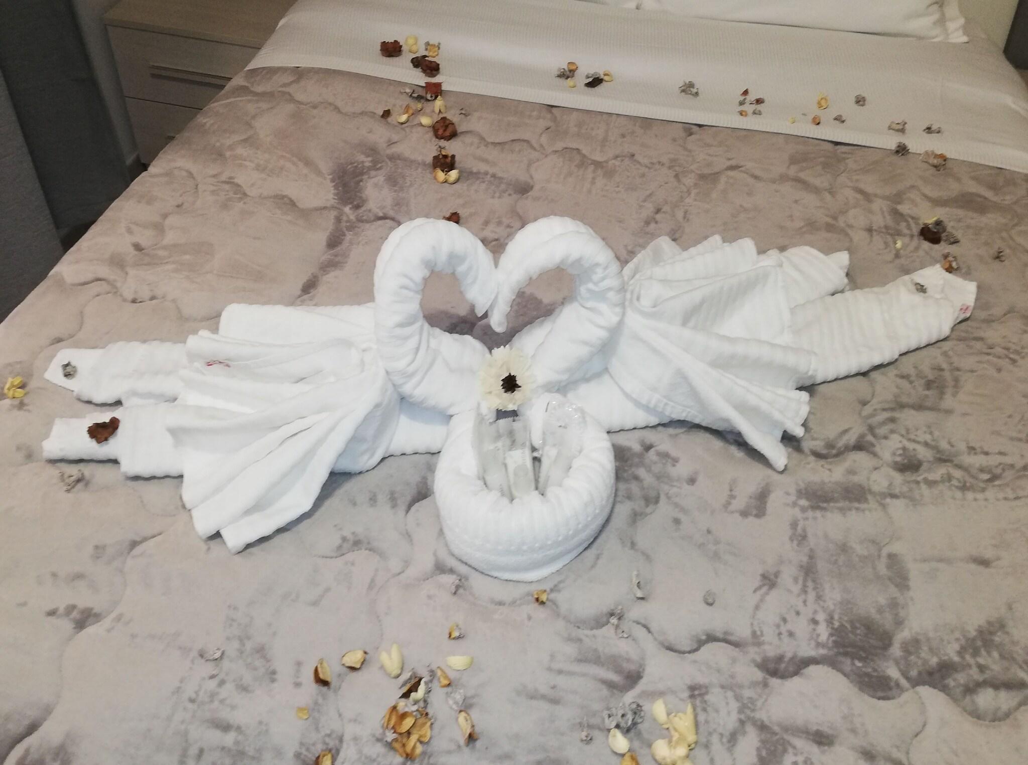 Double Queen Size Bed