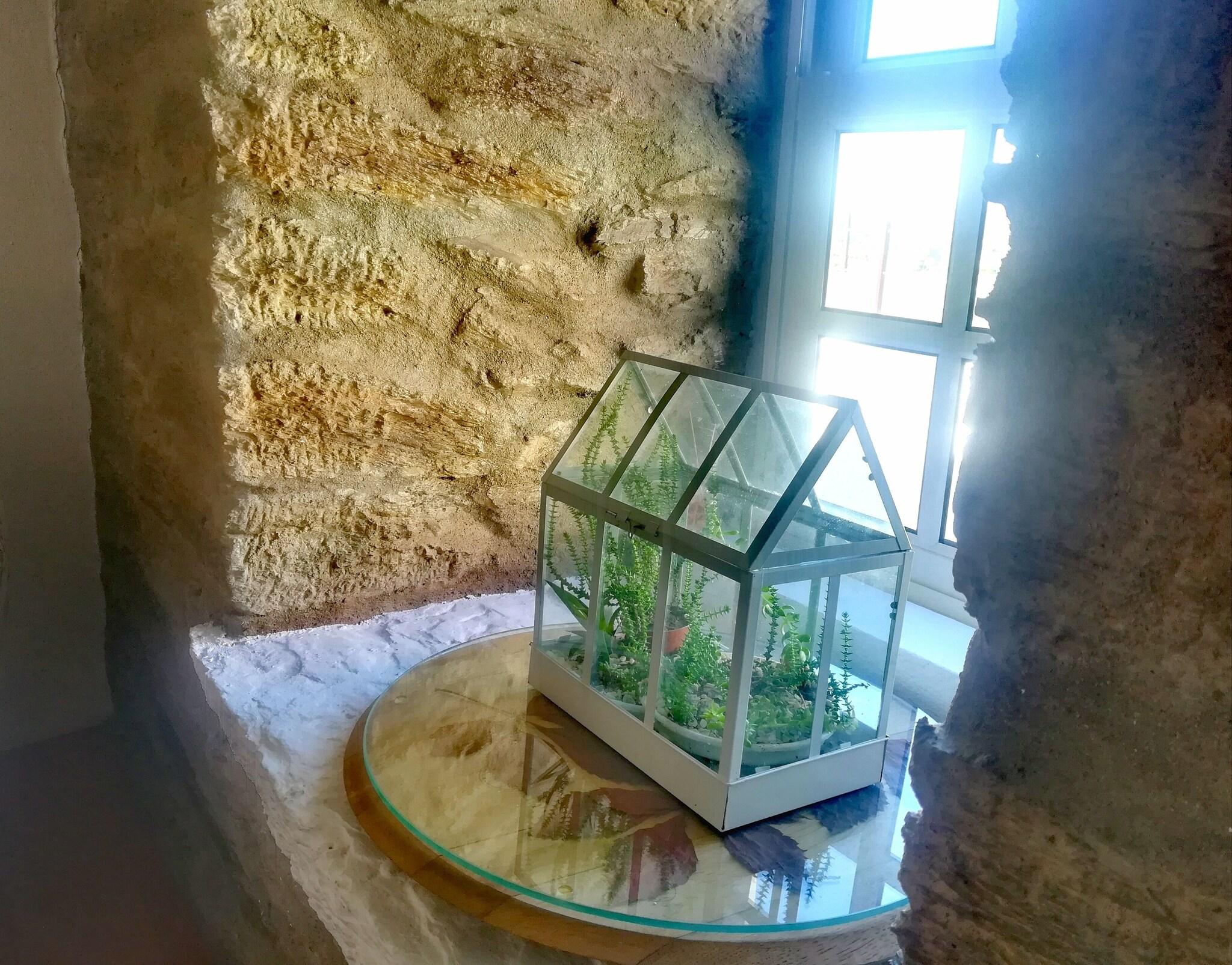 Double with Shared Bathroom