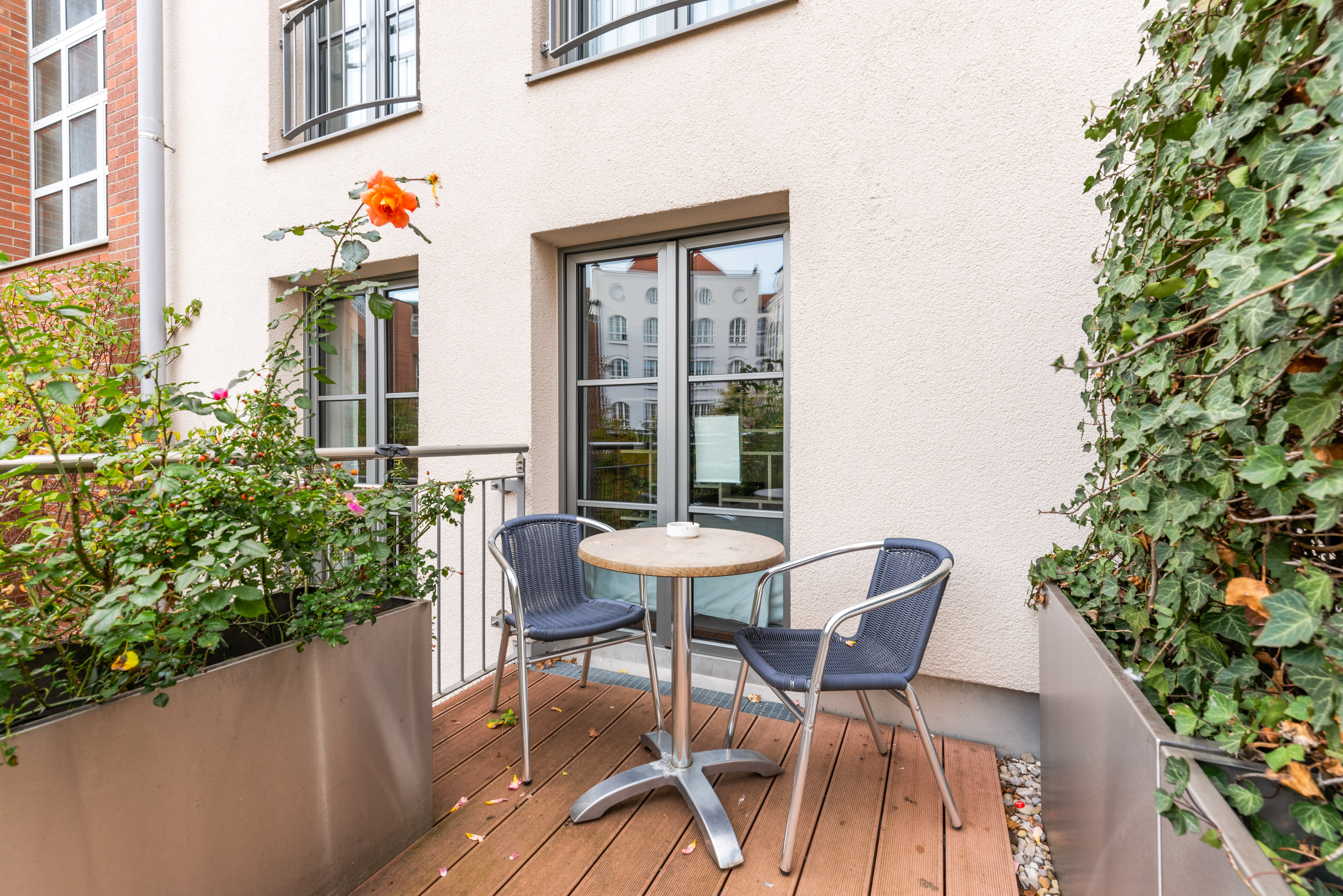 Family Room Superior