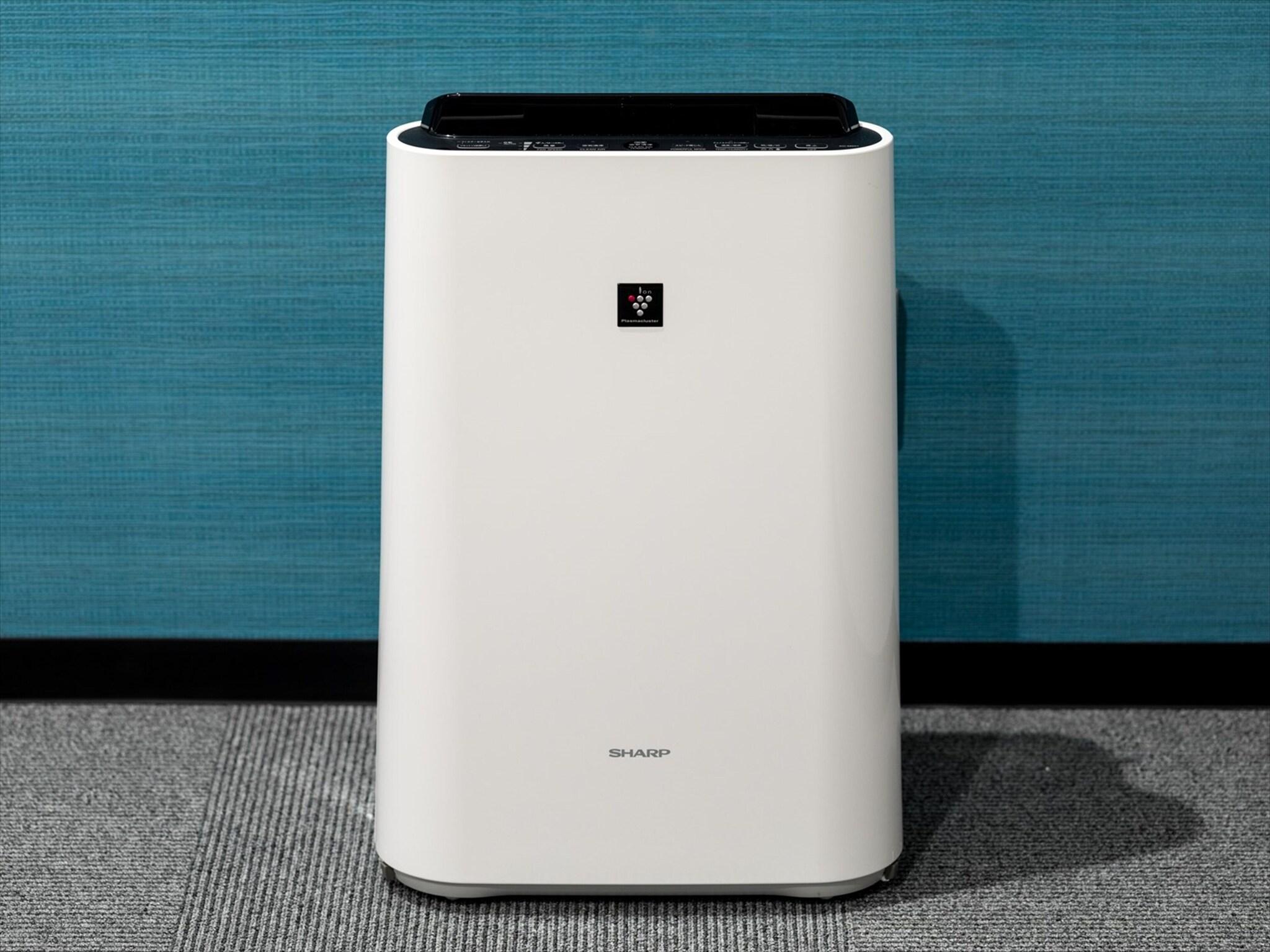 Single with Double Bed