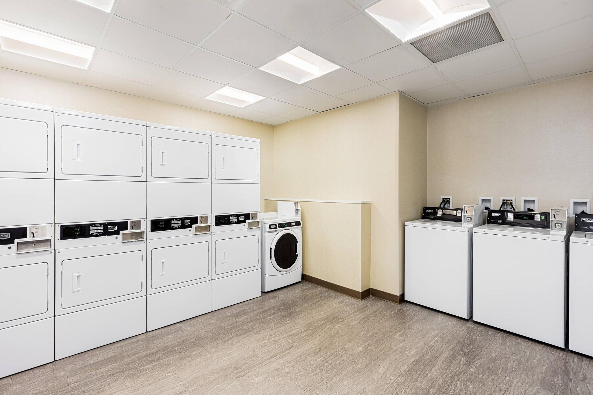 Suite King Bed One Bedroom 