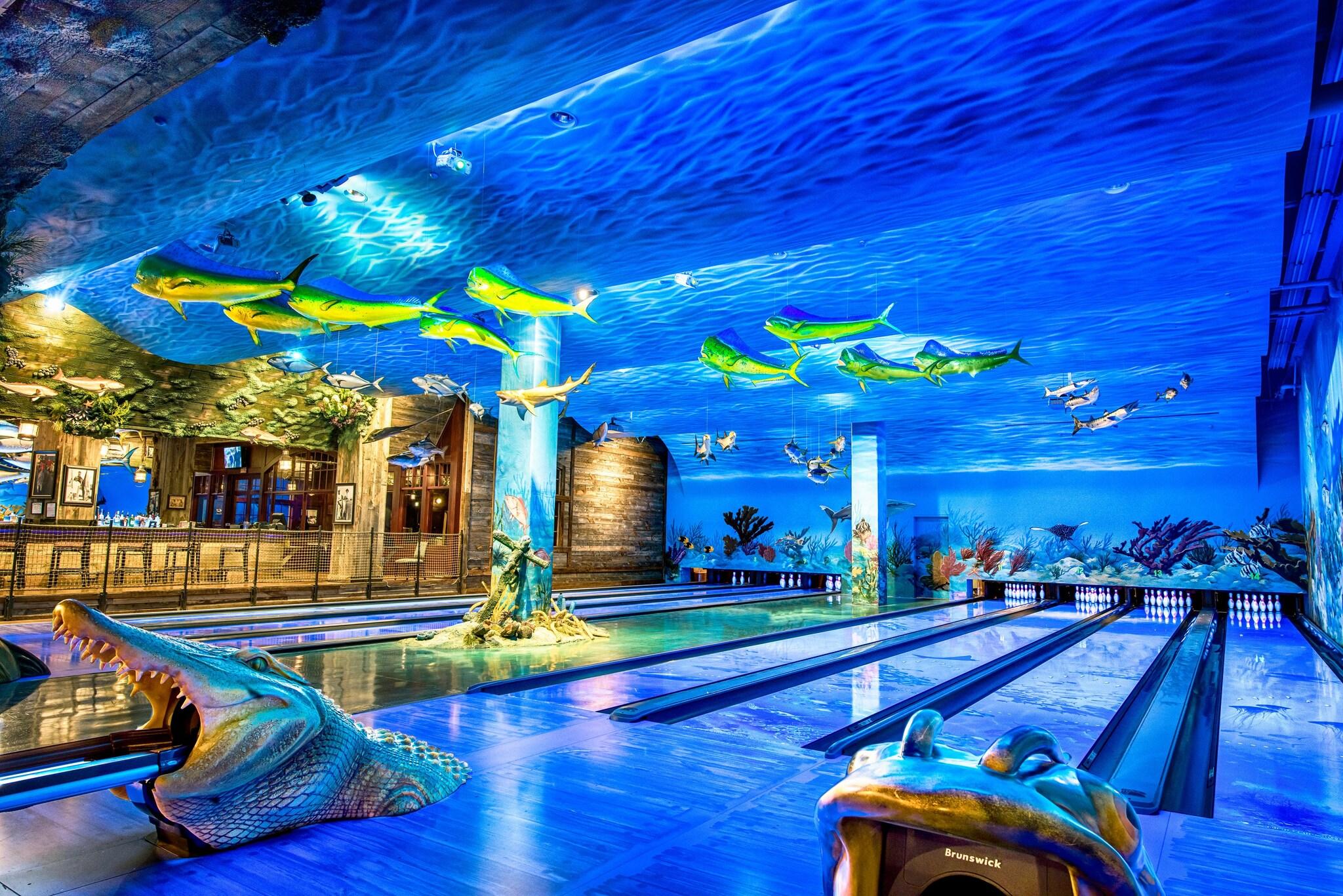 Sports and Entertainment