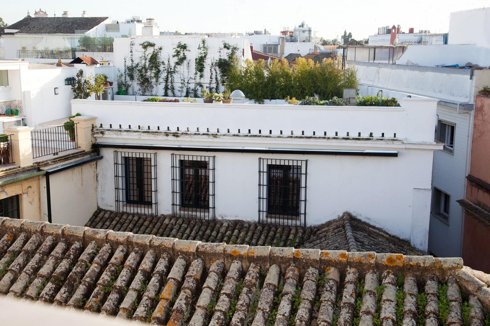 Apartment Deluxe Two Bedroom