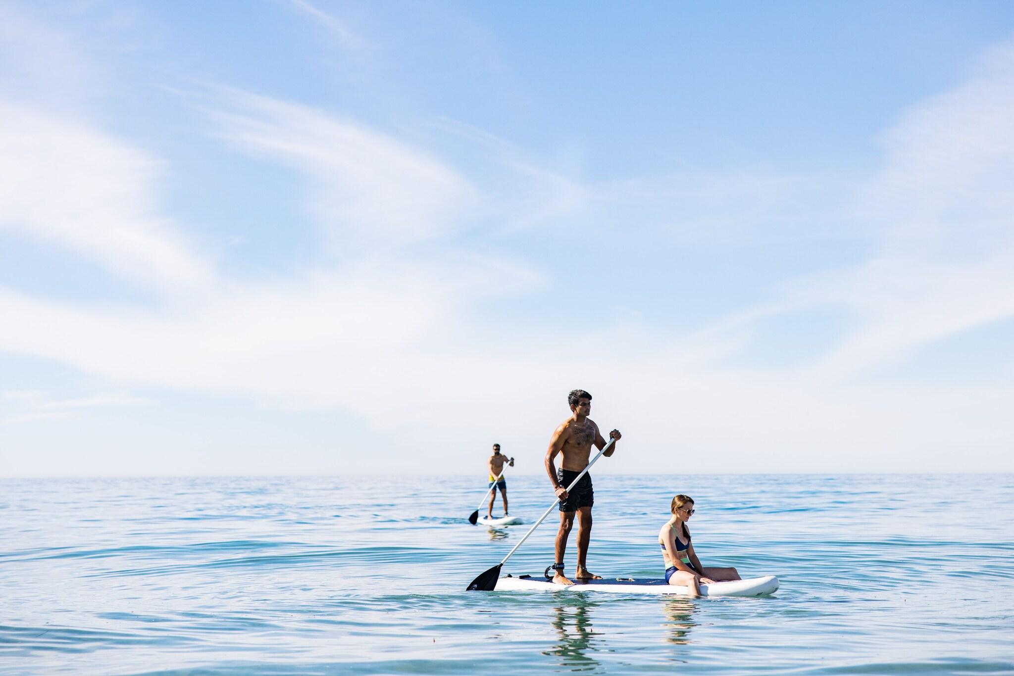 Sports and Entertainment