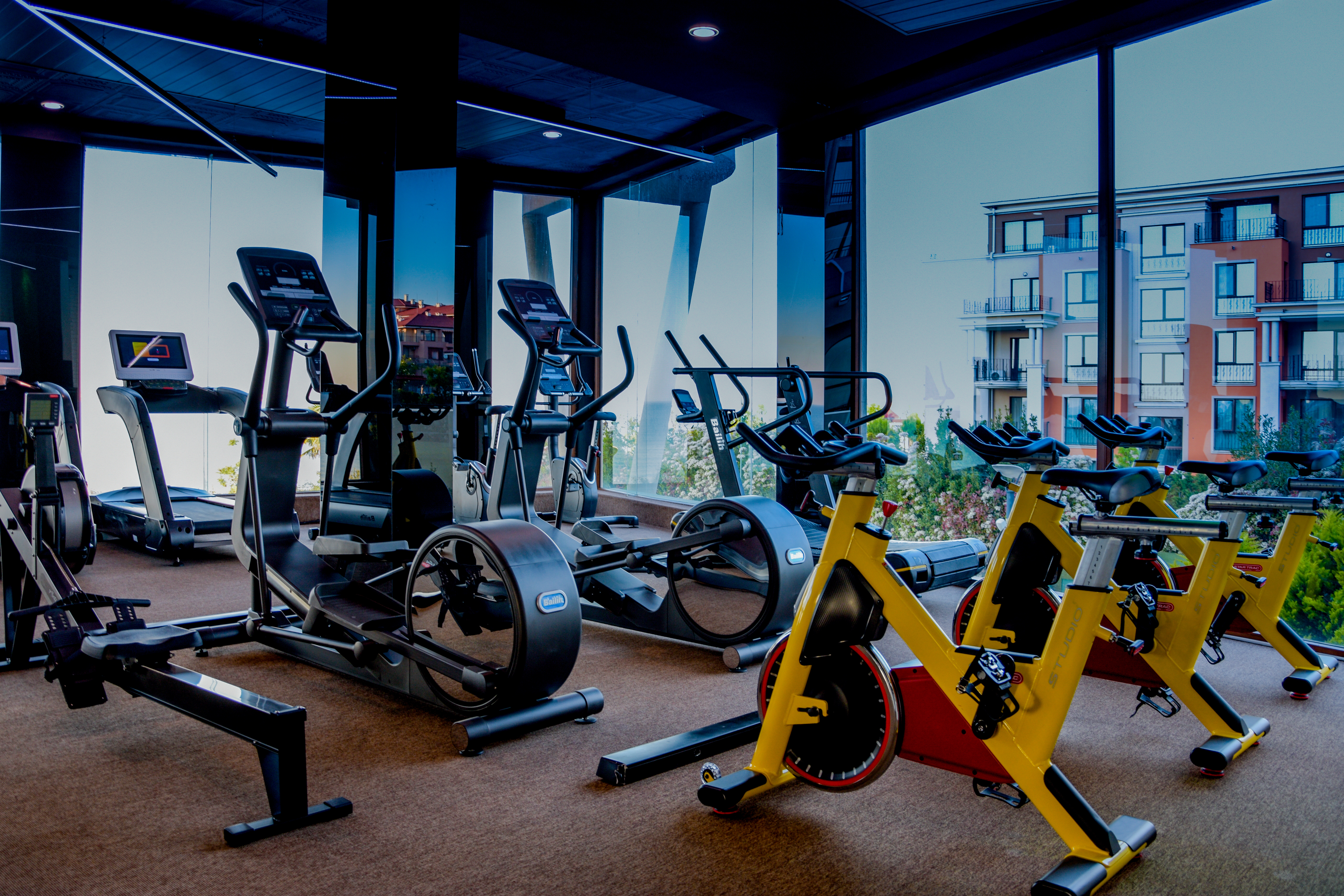 Sports and Entertainment