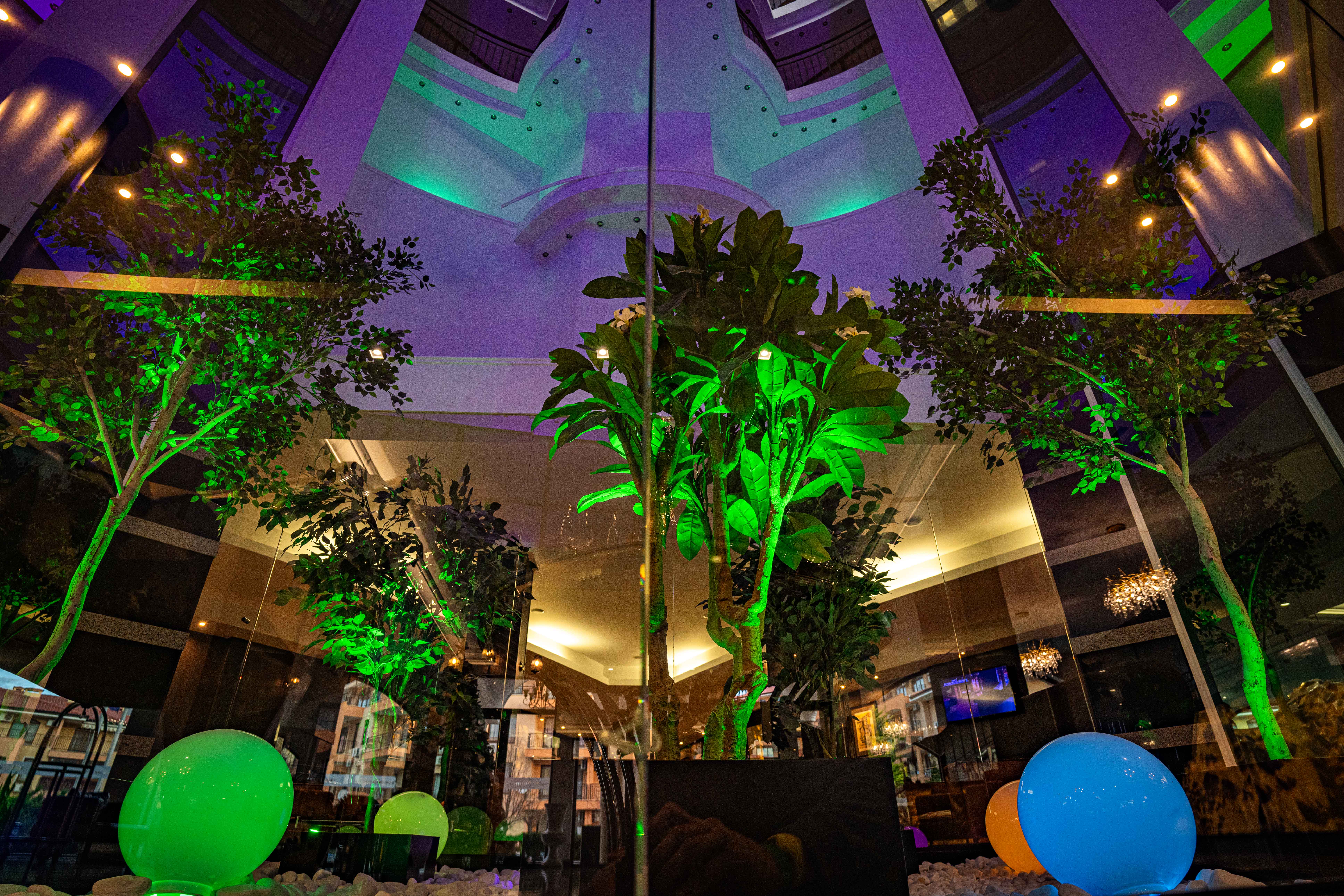 Sports and Entertainment