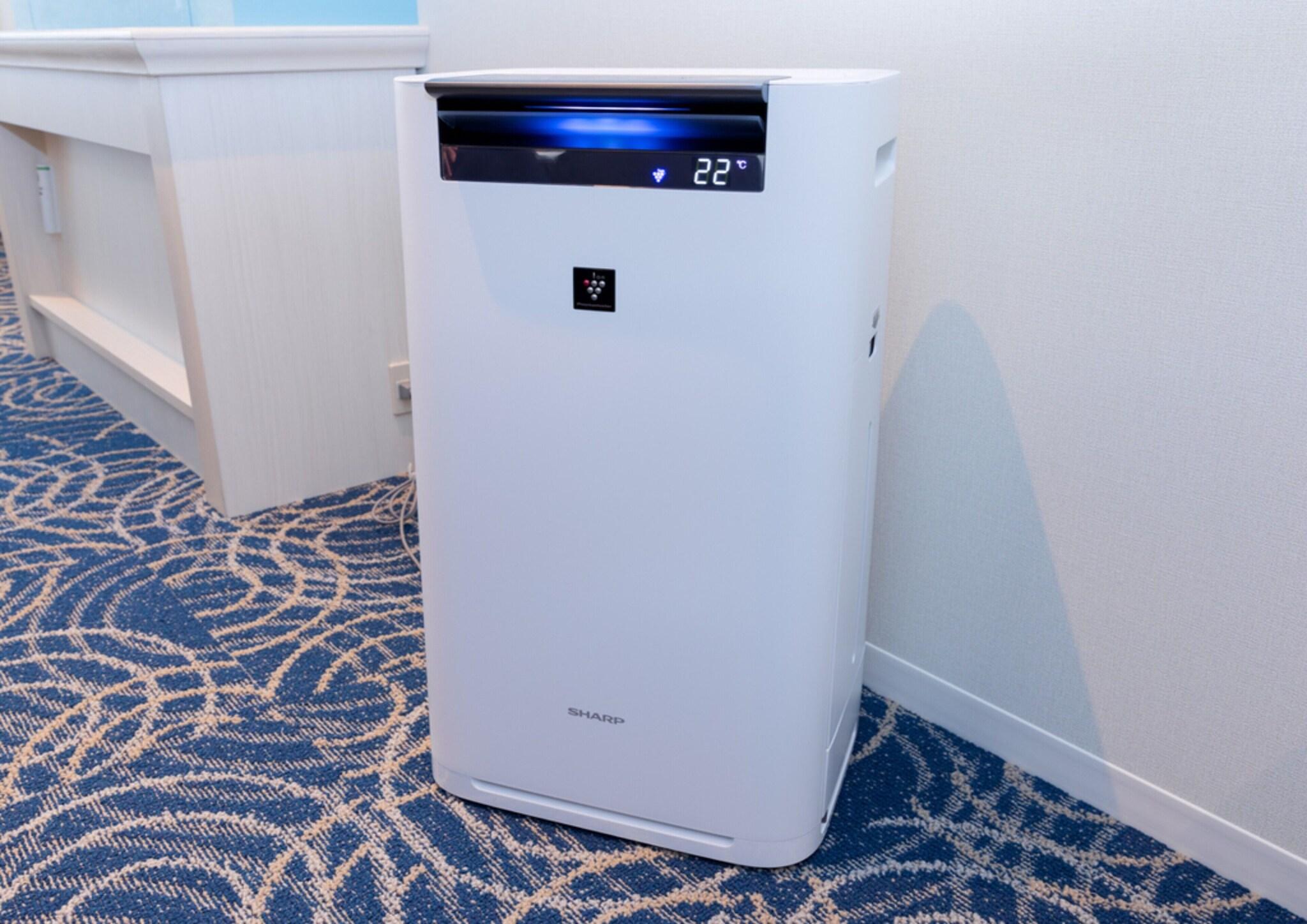 Double Queen Bed Non Smoking