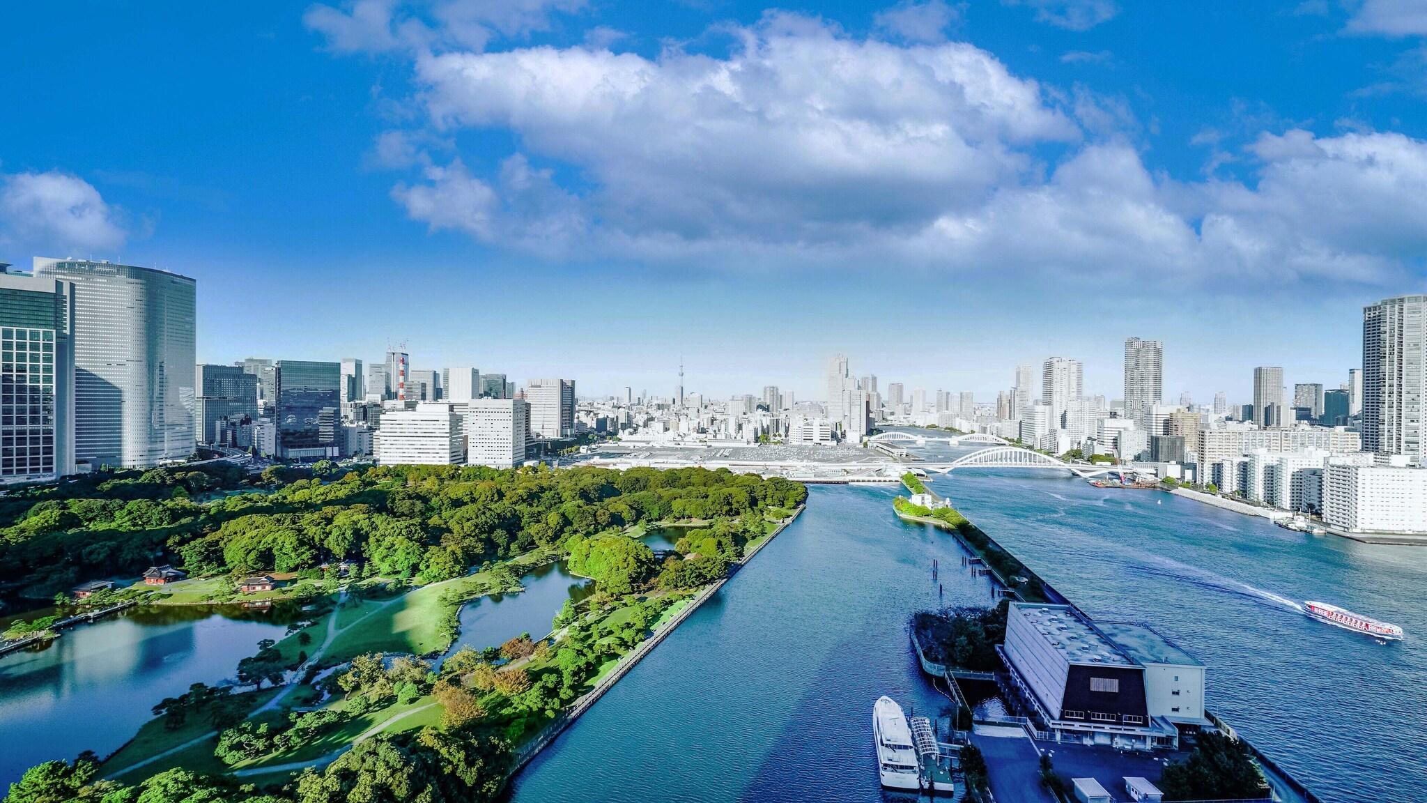 Quadruple Executive Garden View