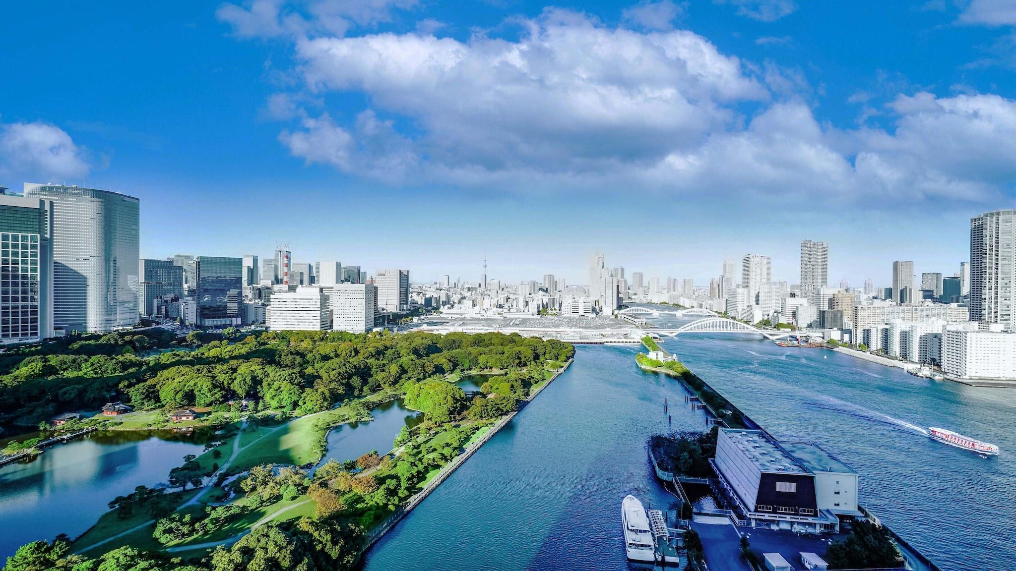 Quadruple Garden View King Bed