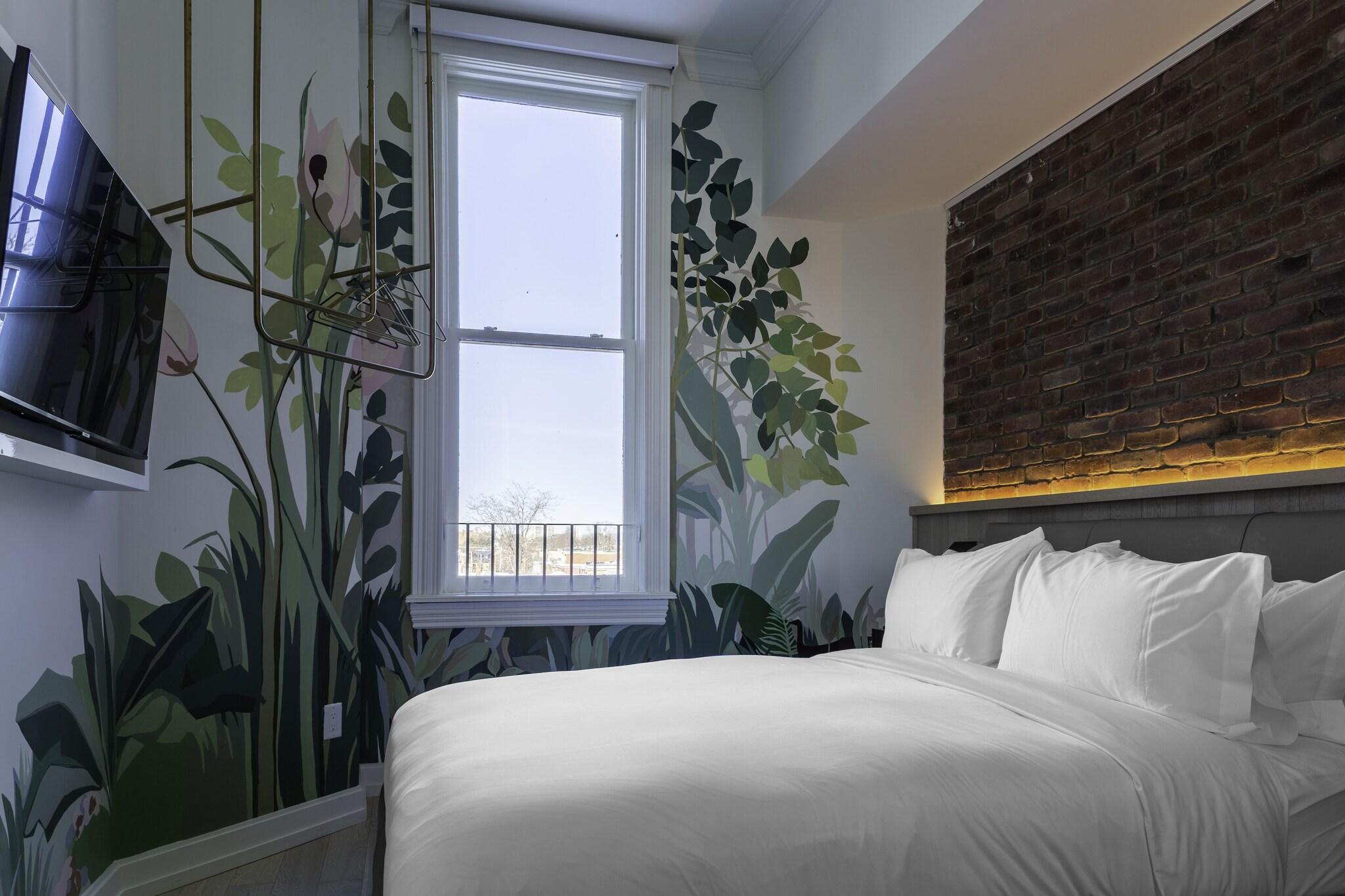 Studio Queen Size Bed