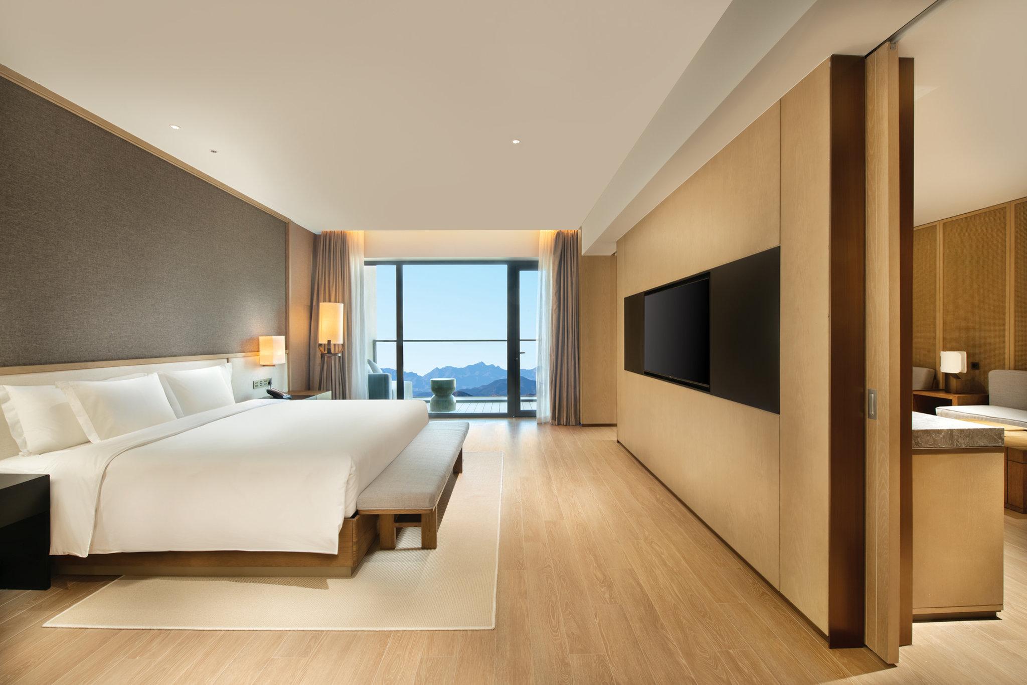 Suite King Bed One Bedroom 