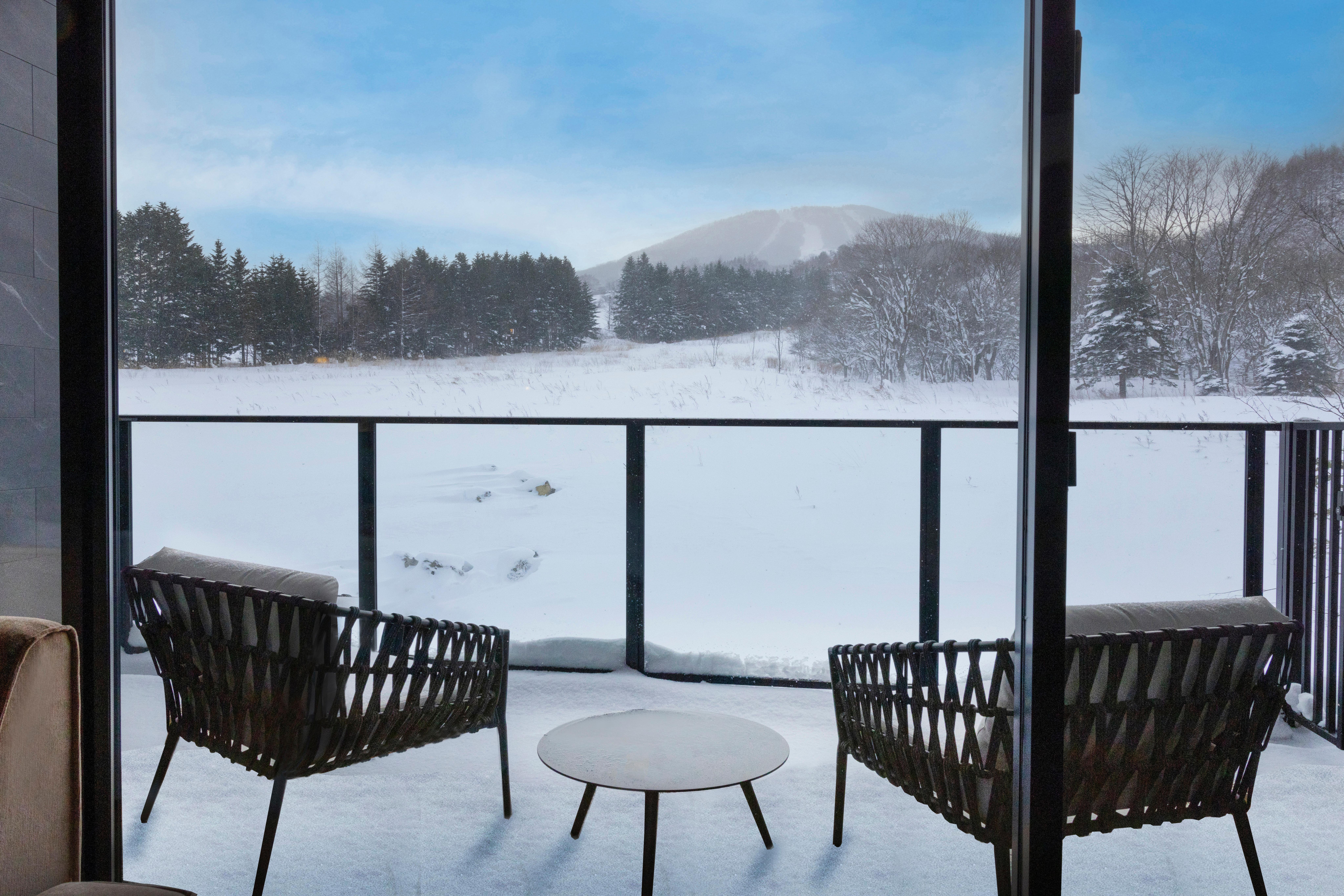 Double Classic Mountain View