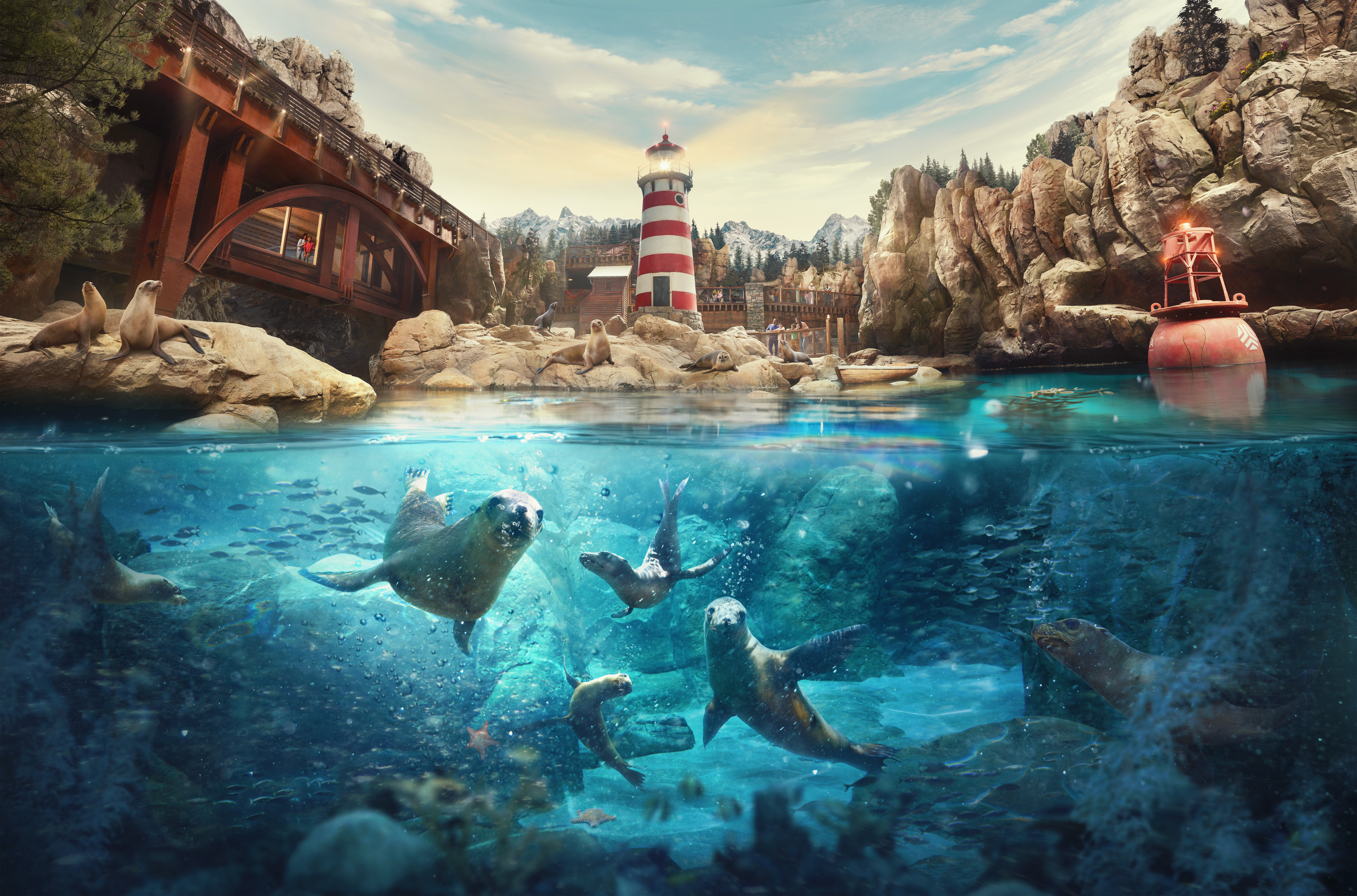 Sports and Entertainment