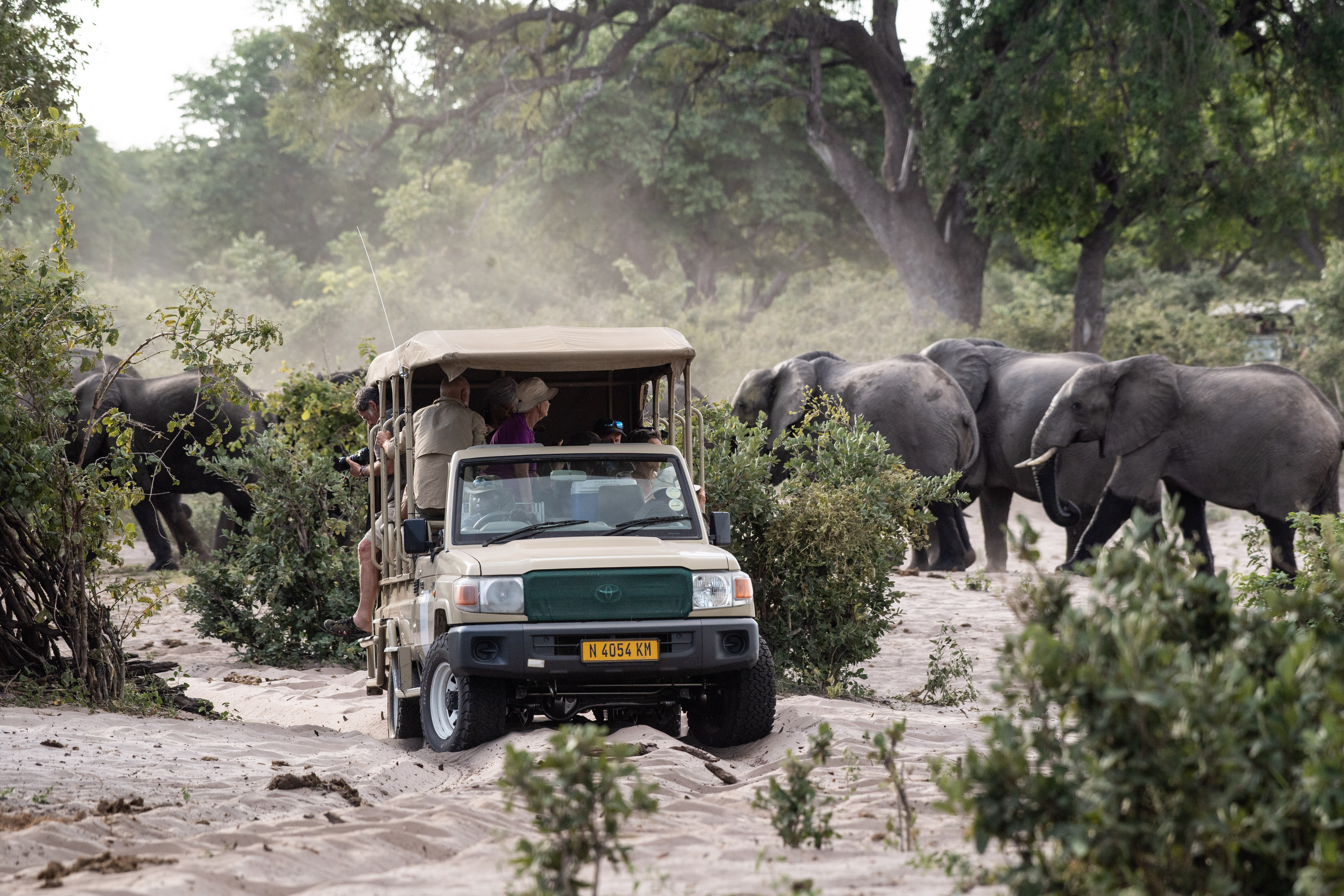 Sports and Entertainment