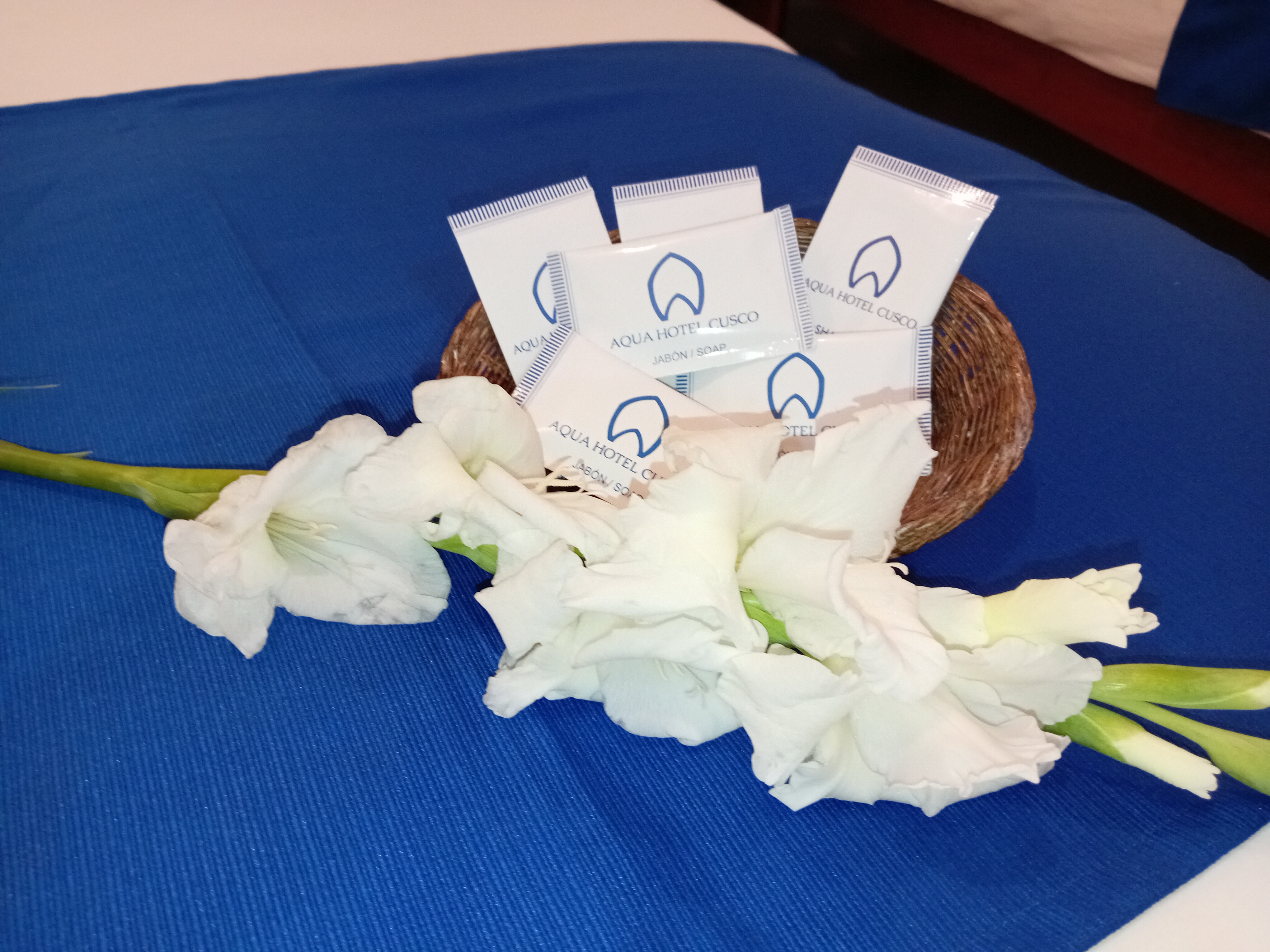 Family Room Superior