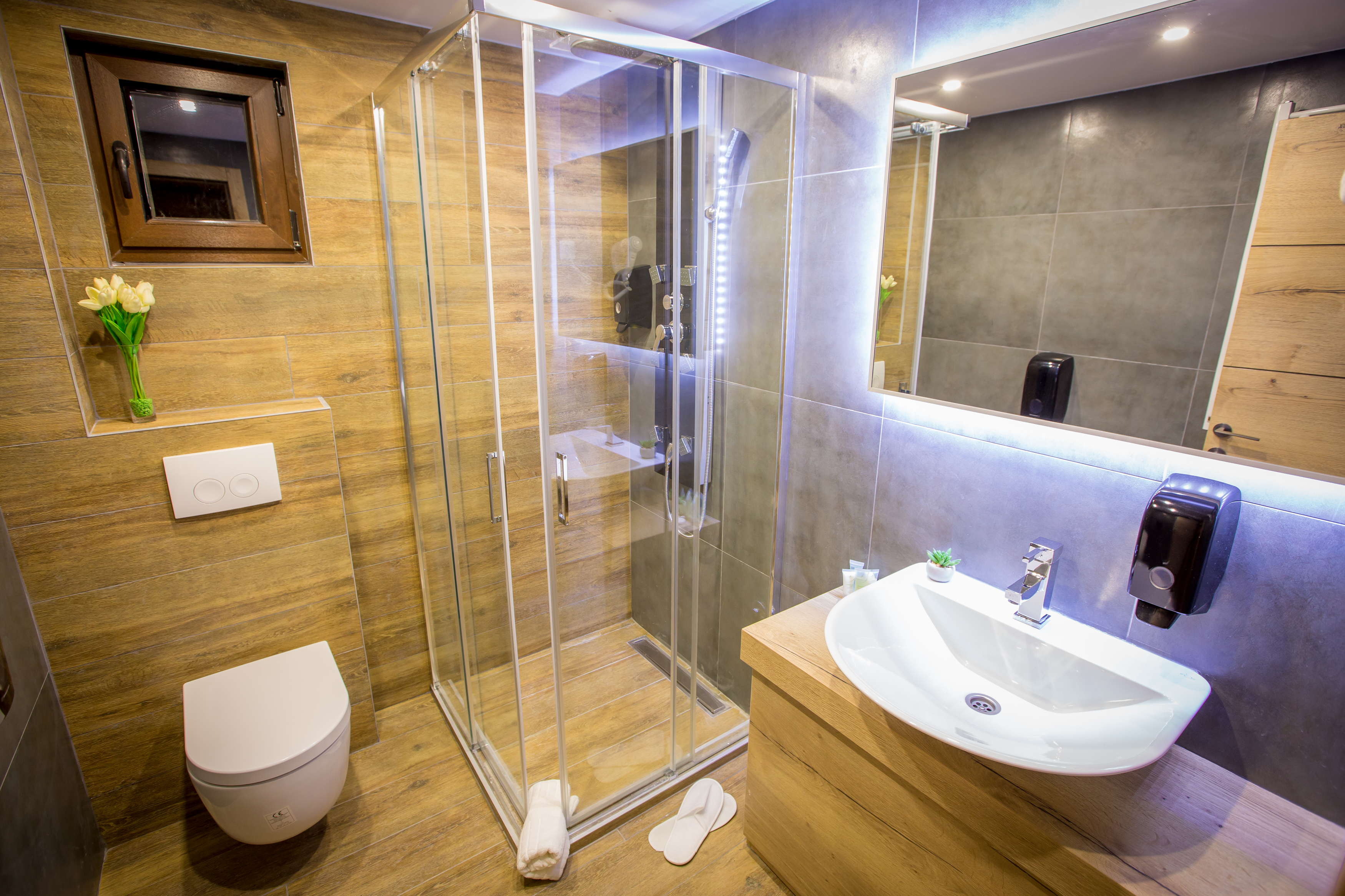 Apartment Superior One Bedroom